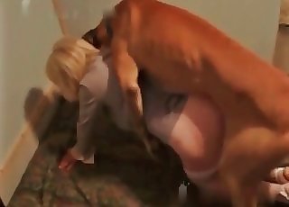 Dominant stallion is screwing a sexy zoophile